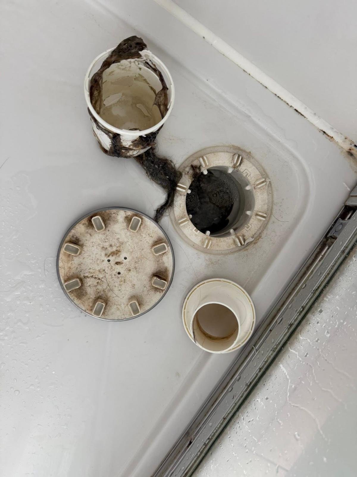 WhatsApp Image 2026-01-20 at 15.29.01 (3)