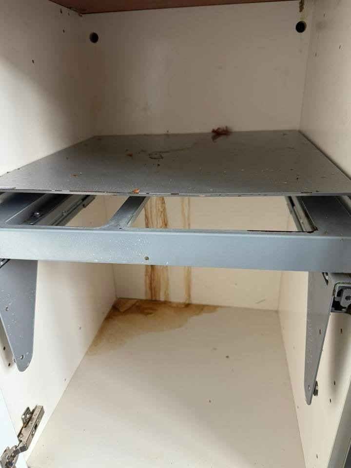 WhatsApp Image 2026-01-20 at 15.29.01 (9)