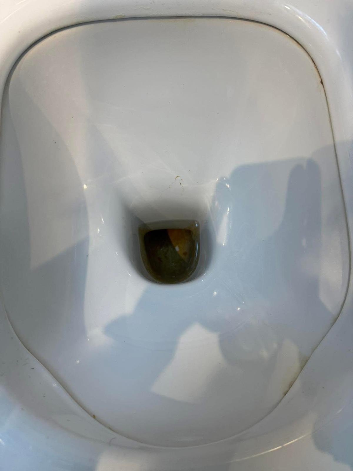 WhatsApp Image 2026-01-20 at 15.29.02 (2)