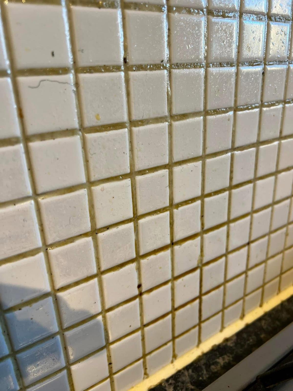 WhatsApp Image 2026-01-20 at 15.29.03